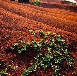 时间操控悬疑游戏《无穷时线》发售日确定 支持中文